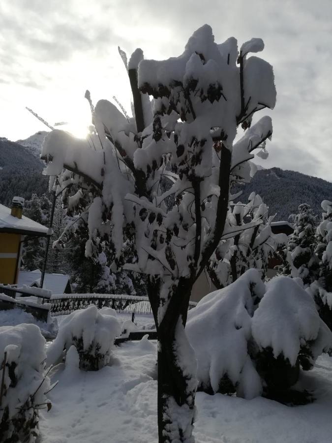 Il Nido B&B Villa d'Allegno Dış mekan fotoğraf
